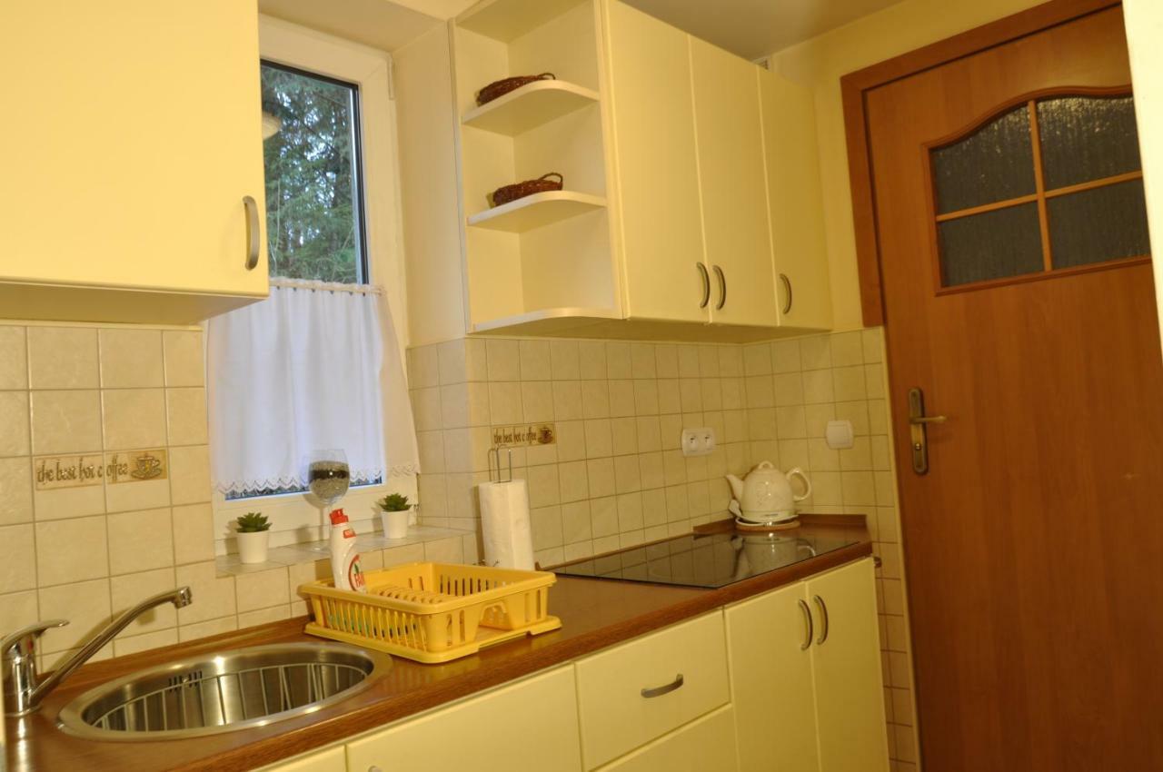 Apartamenty Sobiczkowa Wyspa Kościelisko Eksteriør bilde